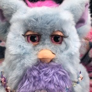 Meet your Posher, Maxwell